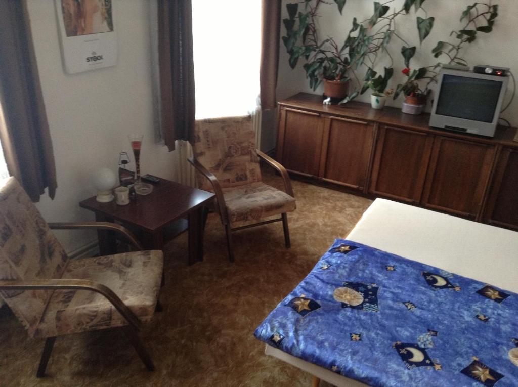 At Pension Ceske Budejovice Room photo